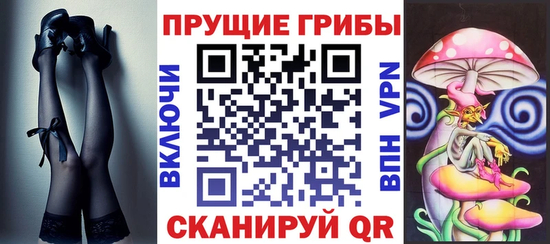 продажа наркотиков  Мамадыш  Галлюциногенные грибы Psilocybine cubensis 